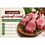 راهنمای خرید گوشت گوسفندی؛ از شناخت برش‌ها تا انتخاب سالم‌ترین گوشت