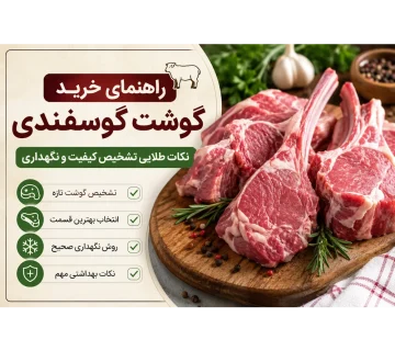 راهنمای خرید گوشت گوسفندی