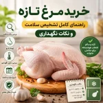 راهنمای خرید مرغ تازه؛ نکات تشخیص مرغ باکیفیت، سالم و تازه