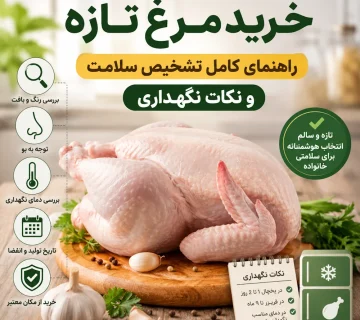 خرید مرغ تازه